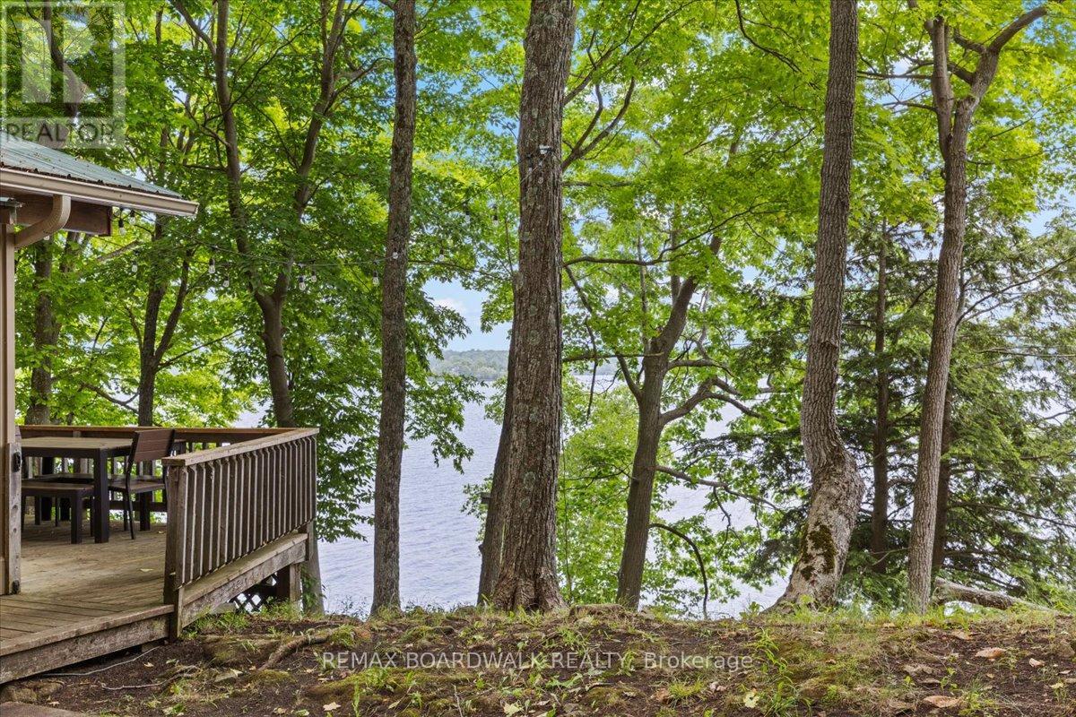6296 Big Island, Rideau Lakes, Ontario  K0G 1V0 - Photo 39 - X13415178