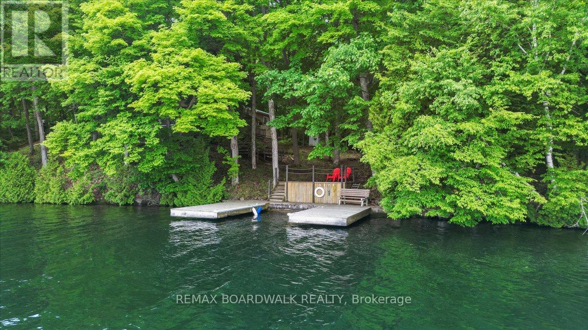 6296 Big Island, Rideau Lakes, Ontario  K0G 1V0 - Photo 4 - X13415178