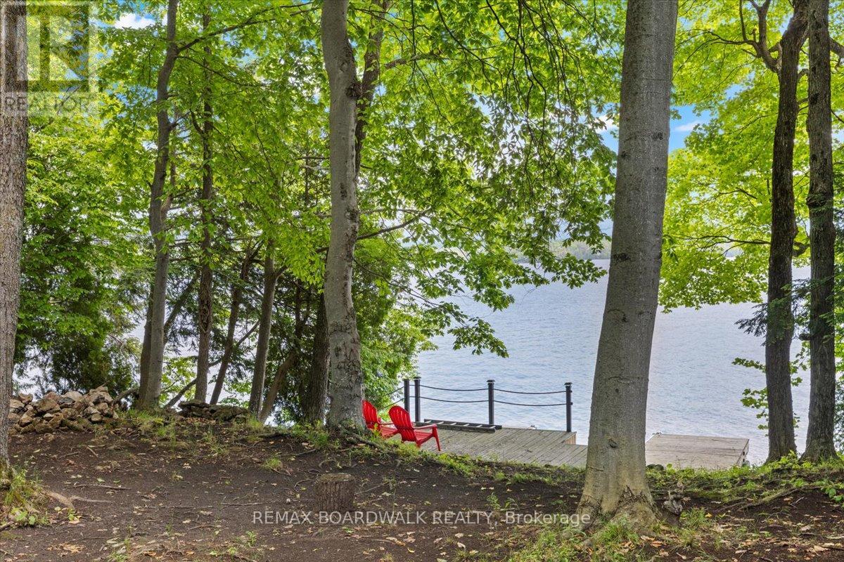 6296 Big Island, Rideau Lakes, Ontario  K0G 1V0 - Photo 41 - X13415178