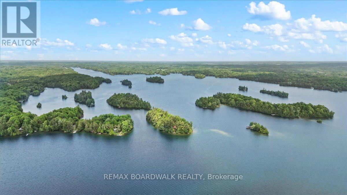6296 Big Island, Rideau Lakes, Ontario  K0G 1V0 - Photo 47 - X13415178