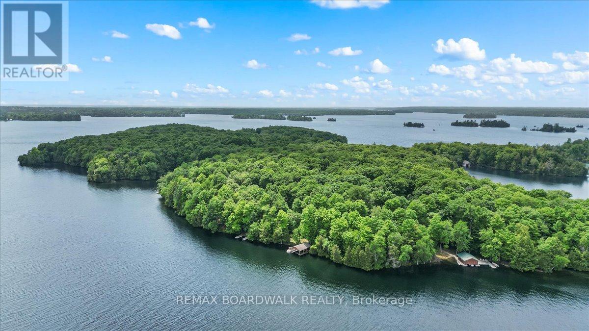 6296 Big Island, Rideau Lakes, Ontario  K0G 1V0 - Photo 48 - X13415178