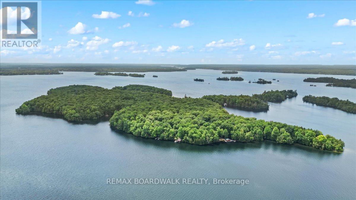 6296 Big Island, Rideau Lakes, Ontario  K0G 1V0 - Photo 49 - X13415178