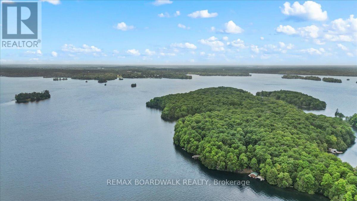 6296 Big Island, Rideau Lakes, Ontario  K0G 1V0 - Photo 50 - X13415178
