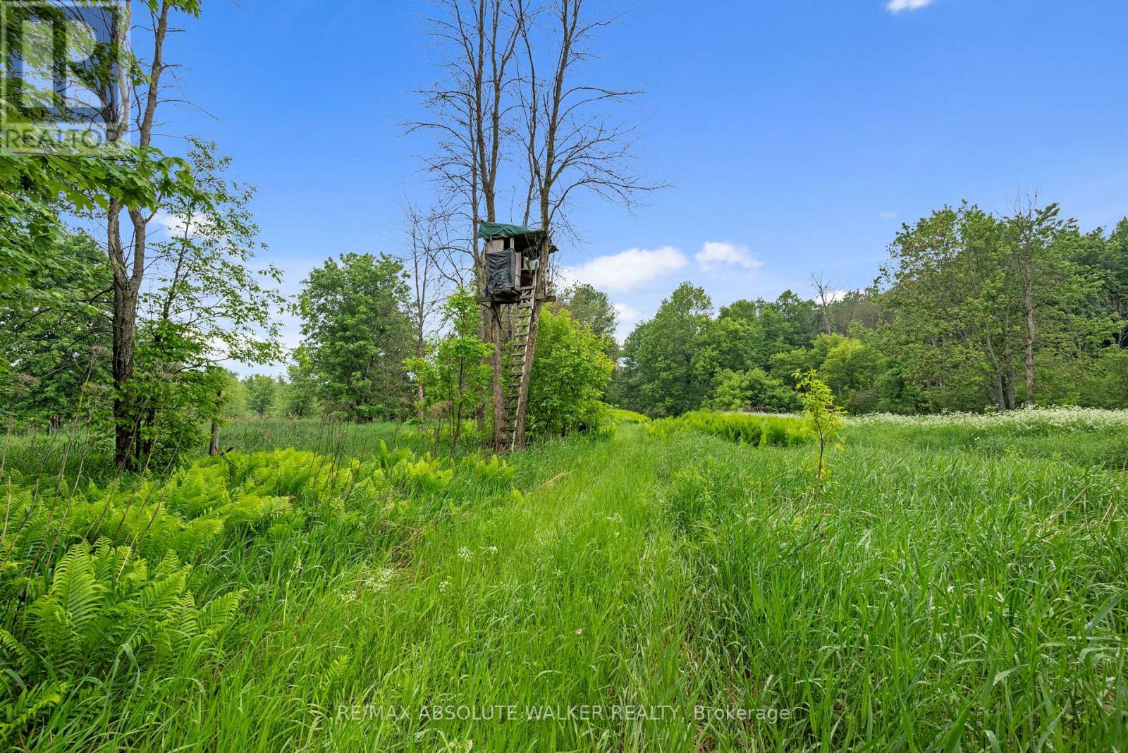 18668 Kenyon Concession 2 Road, North Glengarry, Ontario  K0C 1B0 - Photo 33 - X13419188