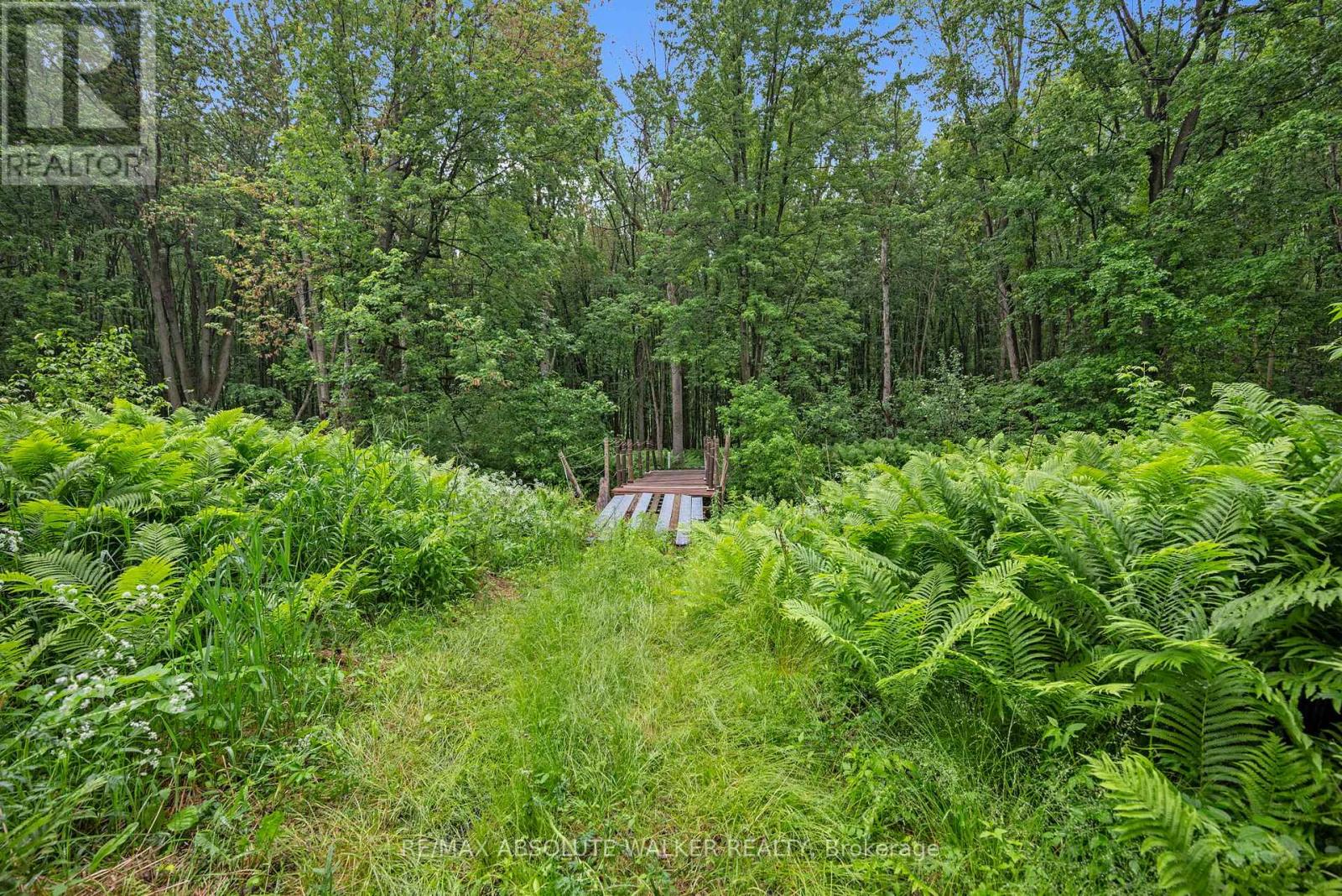 18668 Kenyon Concession 2 Road, North Glengarry, Ontario  K0C 1B0 - Photo 35 - X13419188