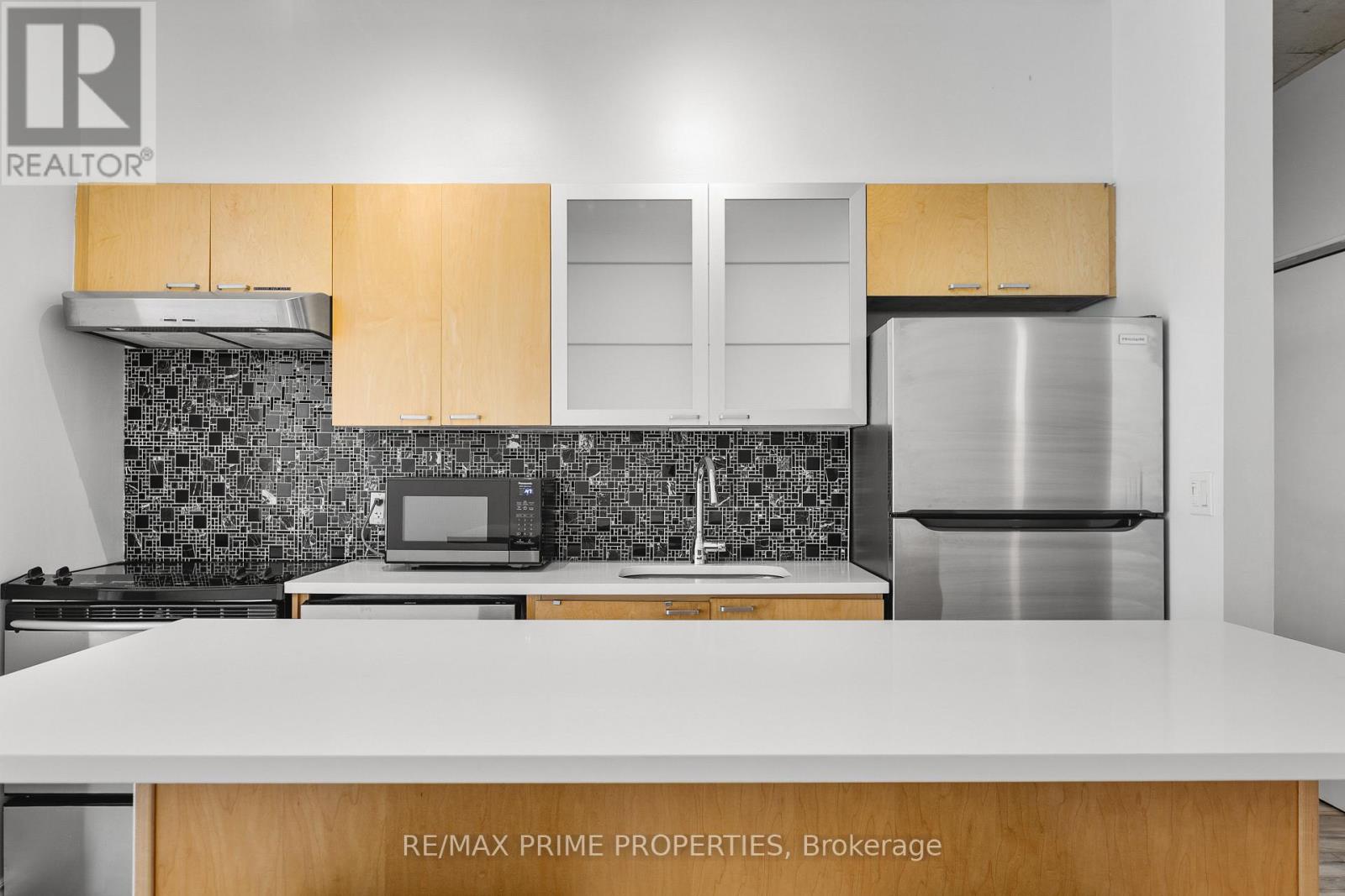 311 - 383 Cumberland Street, Ottawa, Ontario  K1N 1J7 - Photo 8 - X13419546