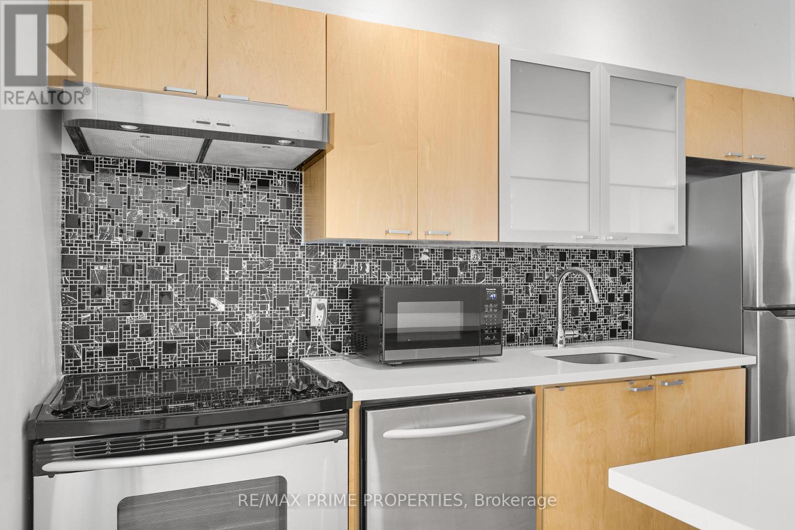 311 - 383 Cumberland Street, Ottawa, Ontario  K1N 1J7 - Photo 9 - X13419546