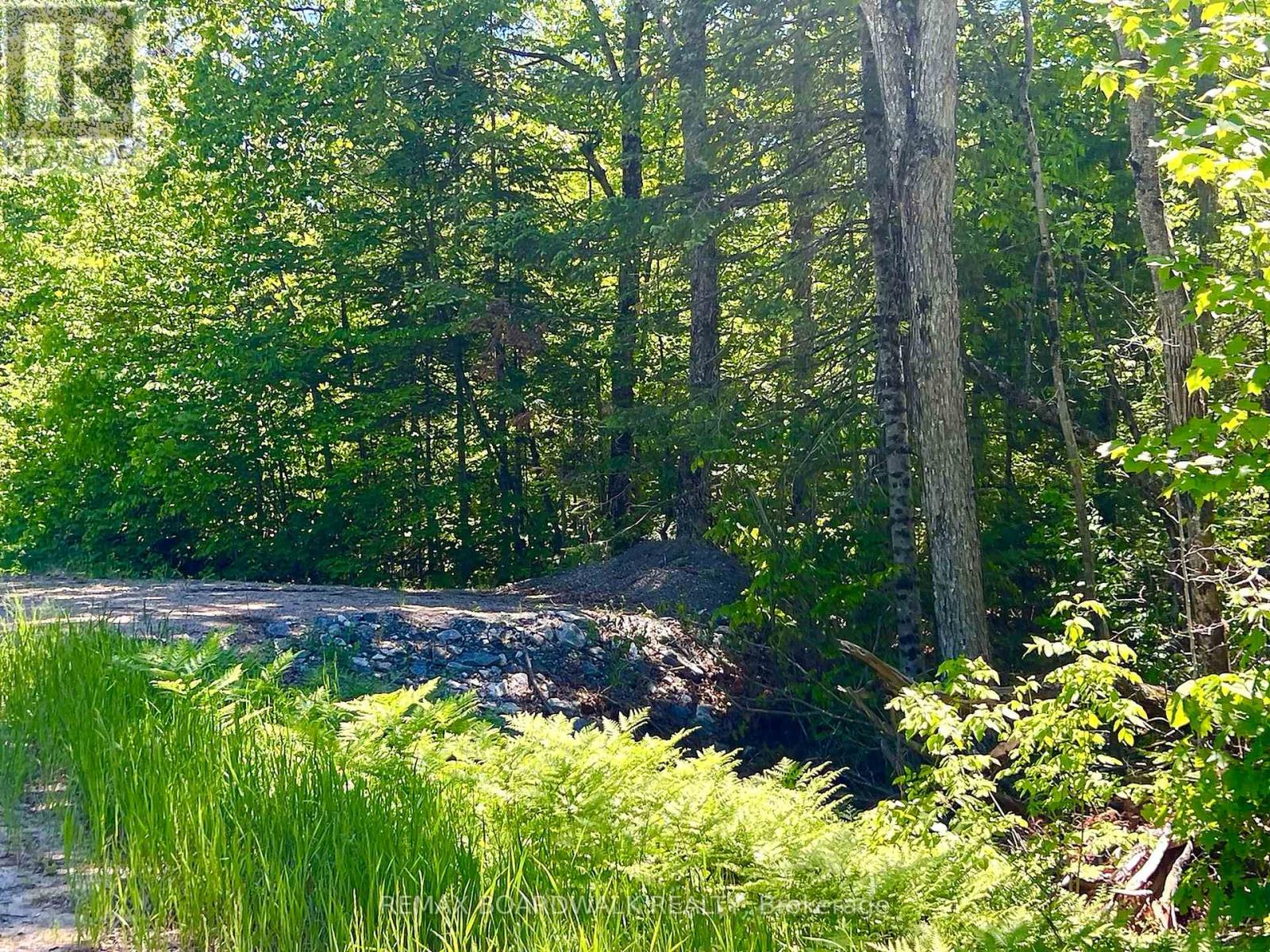 00 Buckshot Lake Road, Addington Highlands, Ontario  K0H 1K0 - Photo 1 - X13423972