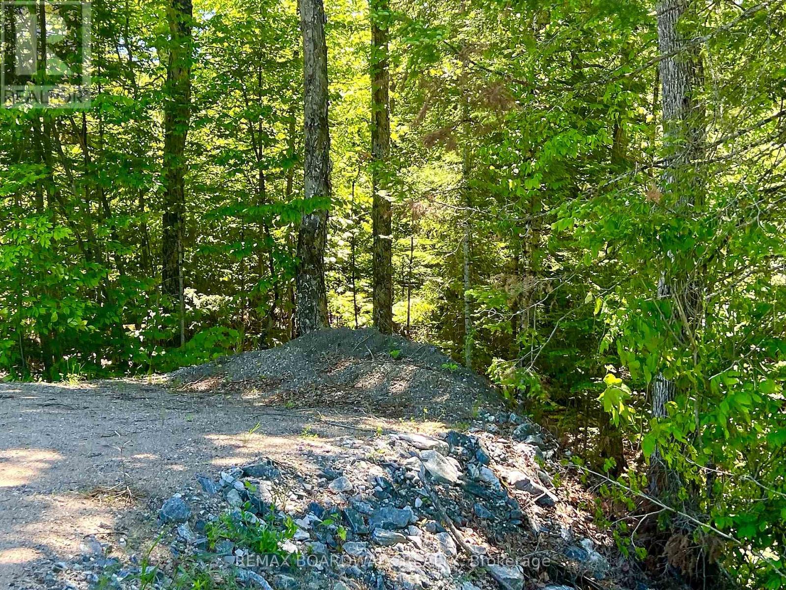00 Buckshot Lake Road, Addington Highlands, Ontario  K0H 1K0 - Photo 2 - X13423972