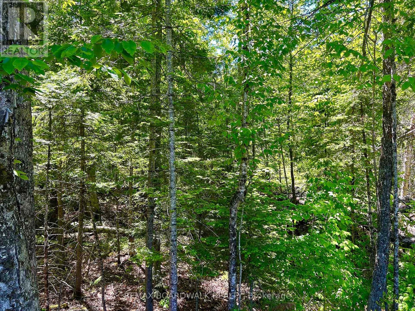 00 Buckshot Lake Road, Addington Highlands, Ontario  K0H 1K0 - Photo 6 - X13423972