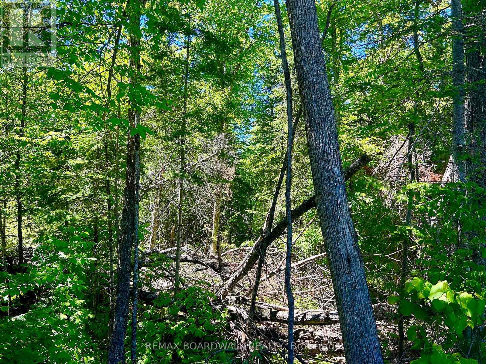 00 Buckshot Lake Road, Addington Highlands, Ontario  K0H 1K0 - Photo 7 - X13423972