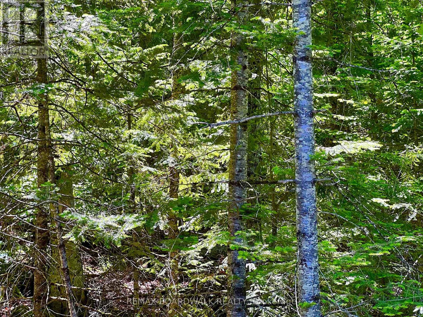 00 Buckshot Lake Road, Addington Highlands, Ontario  K0H 1K0 - Photo 8 - X13423972