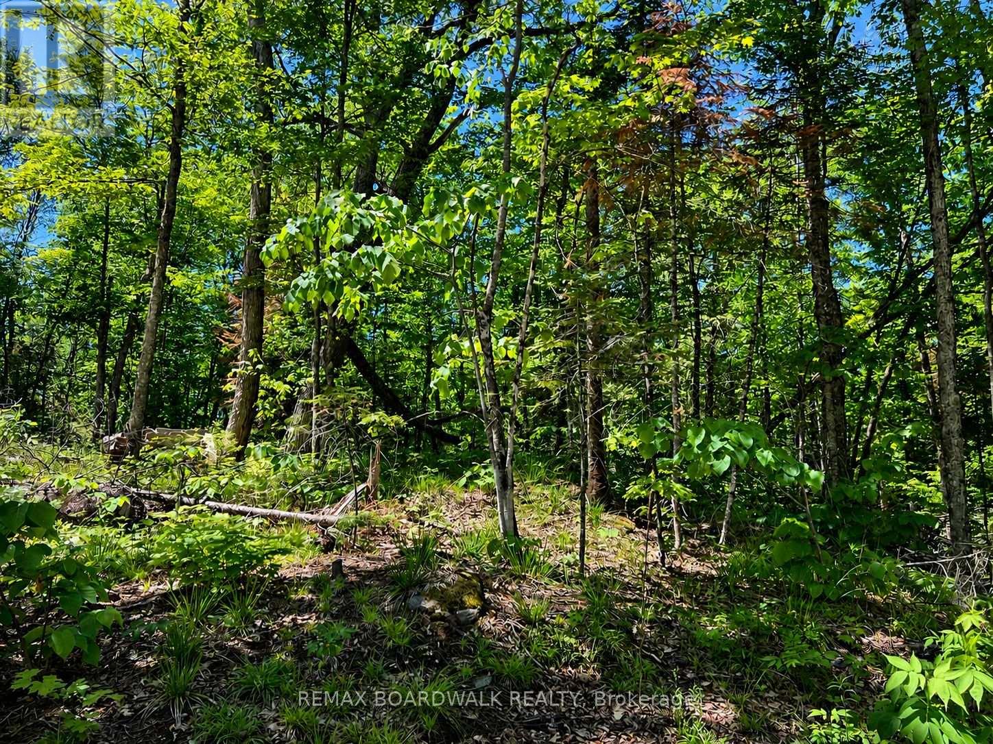 0 Buckshot Lake Road, Addington Highlands, Ontario  K0H 1K0 - Photo 12 - X13423974