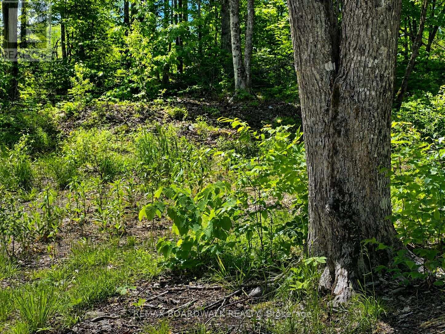 0 Buckshot Lake Road, Addington Highlands, Ontario  K0H 1K0 - Photo 8 - X13423974