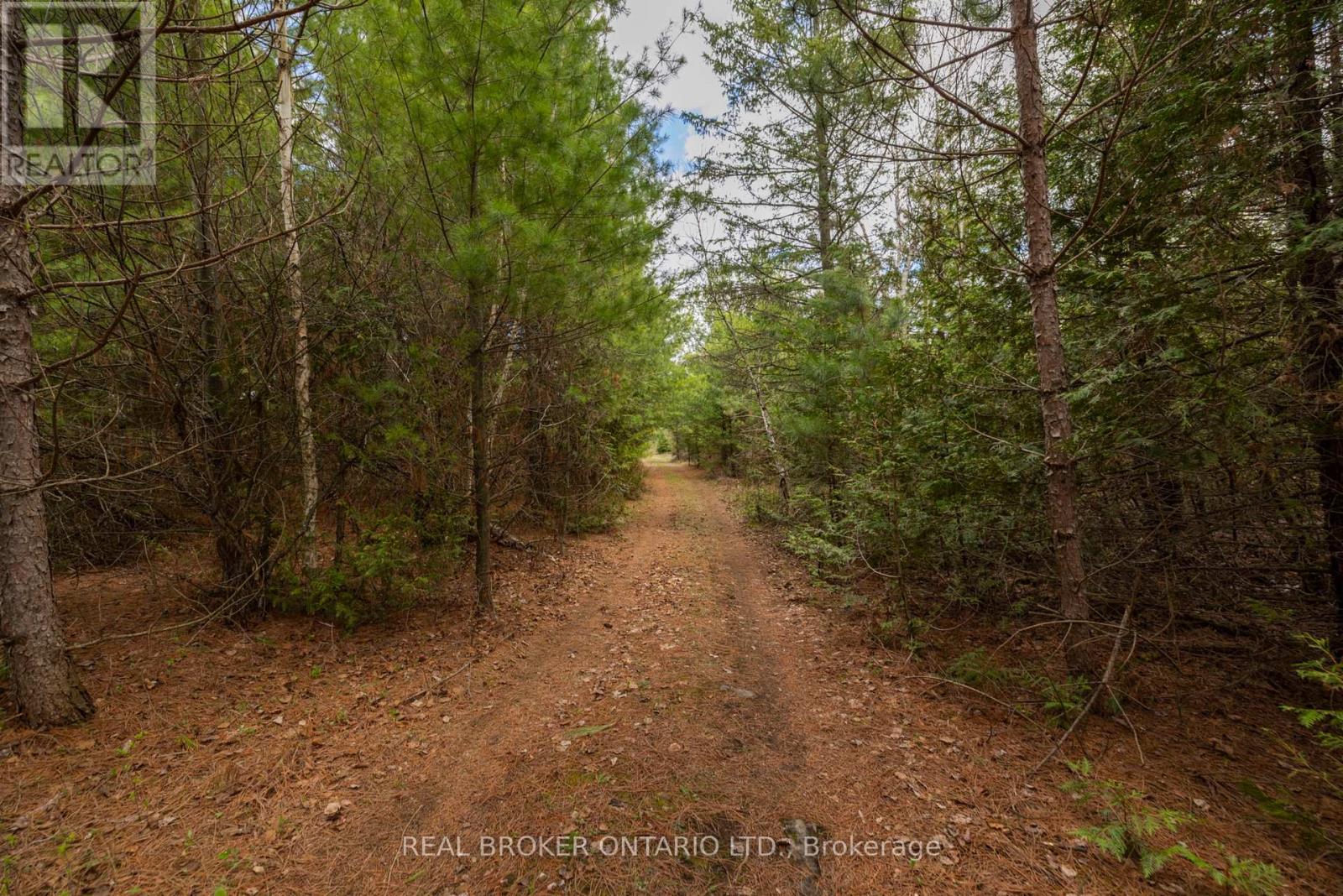 3115 Paden Road, Ottawa, Ontario  K0A 2T0 - Photo 10 - X13427848