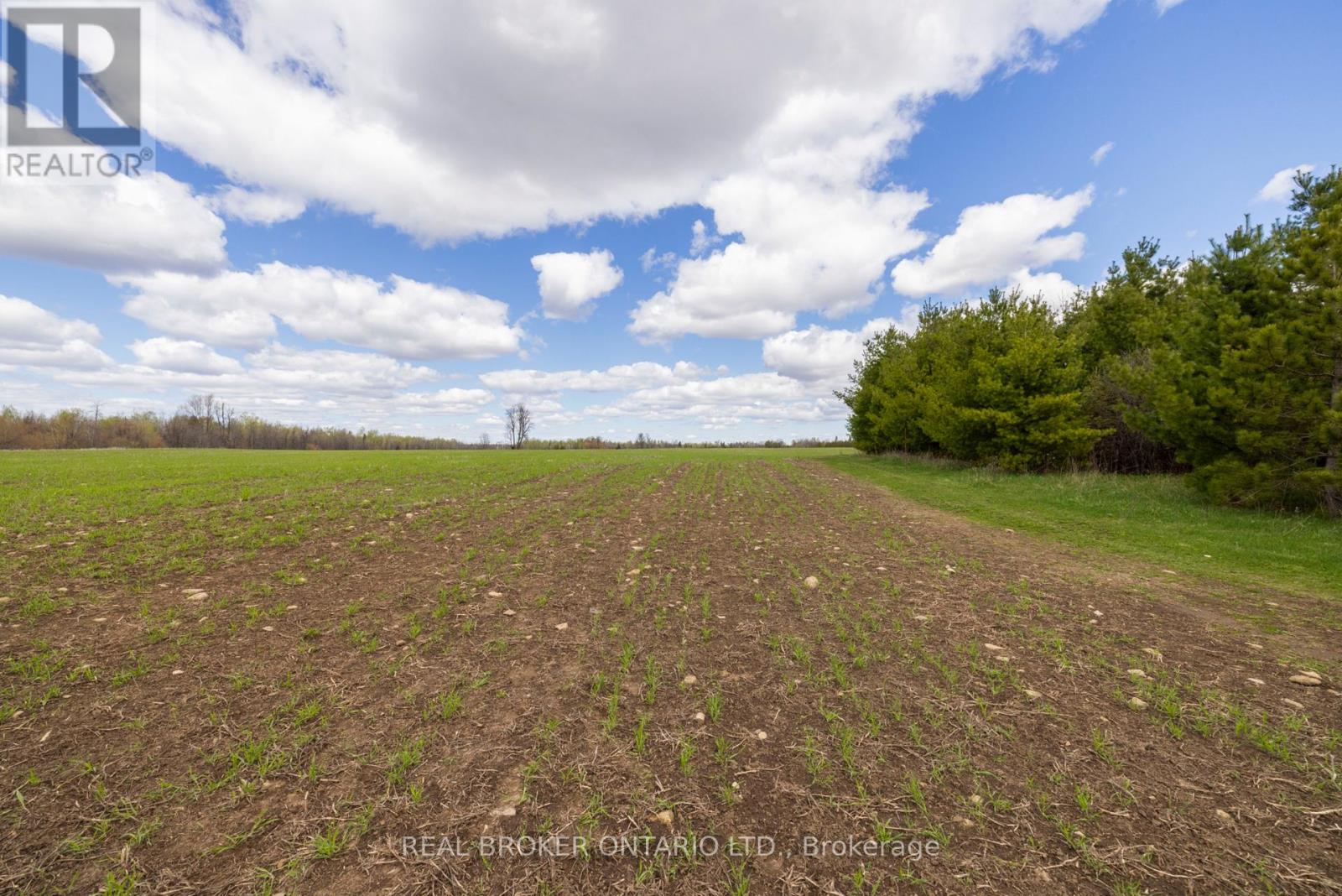 3115 Paden Road, Ottawa, Ontario  K0A 2T0 - Photo 35 - X13427848