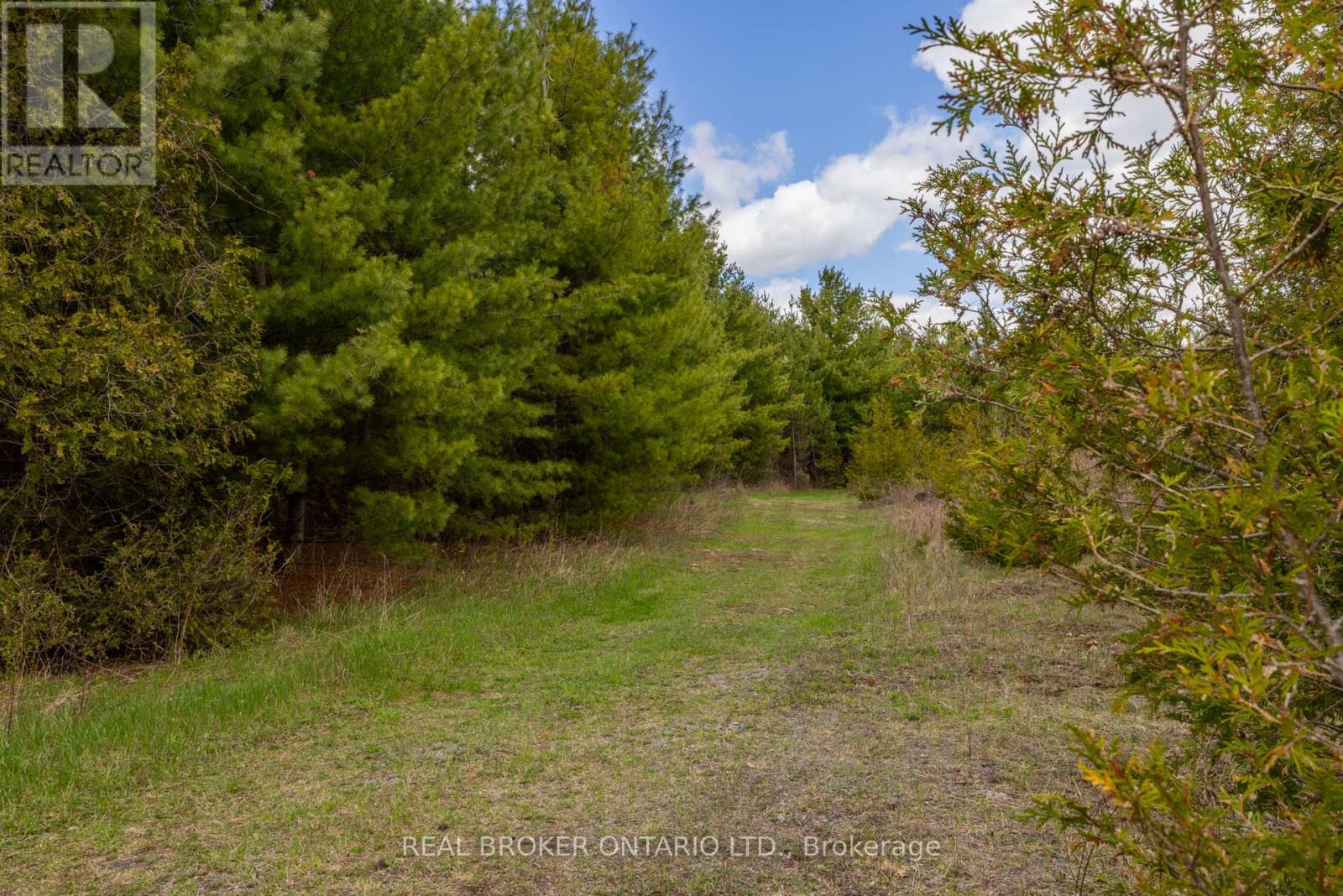 3115 Paden Road, Ottawa, Ontario  K0A 2T0 - Photo 7 - X13427848