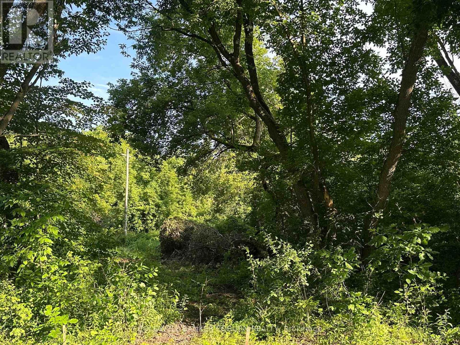00 Pittston Road, Edwardsburgh/cardinal, Ontario  K0E 1X0 - Photo 2 - X13428292