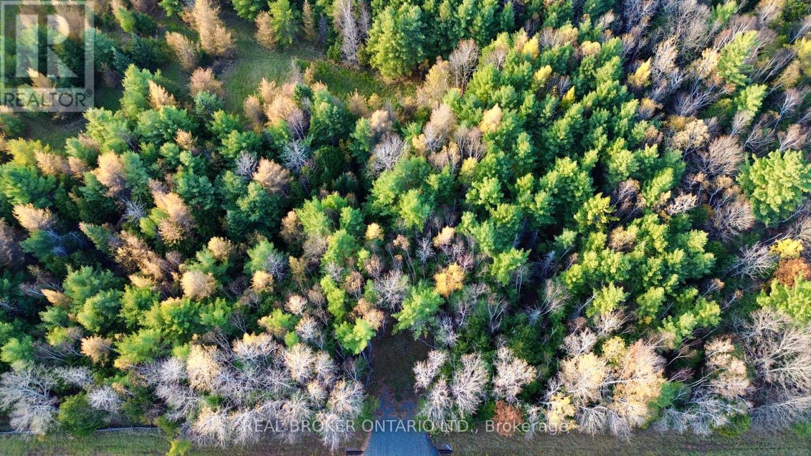 Lot 2 Watsons Corners Road, Lanark Highlands, Ontario  K0G 1K0 - Photo 9 - X13432614