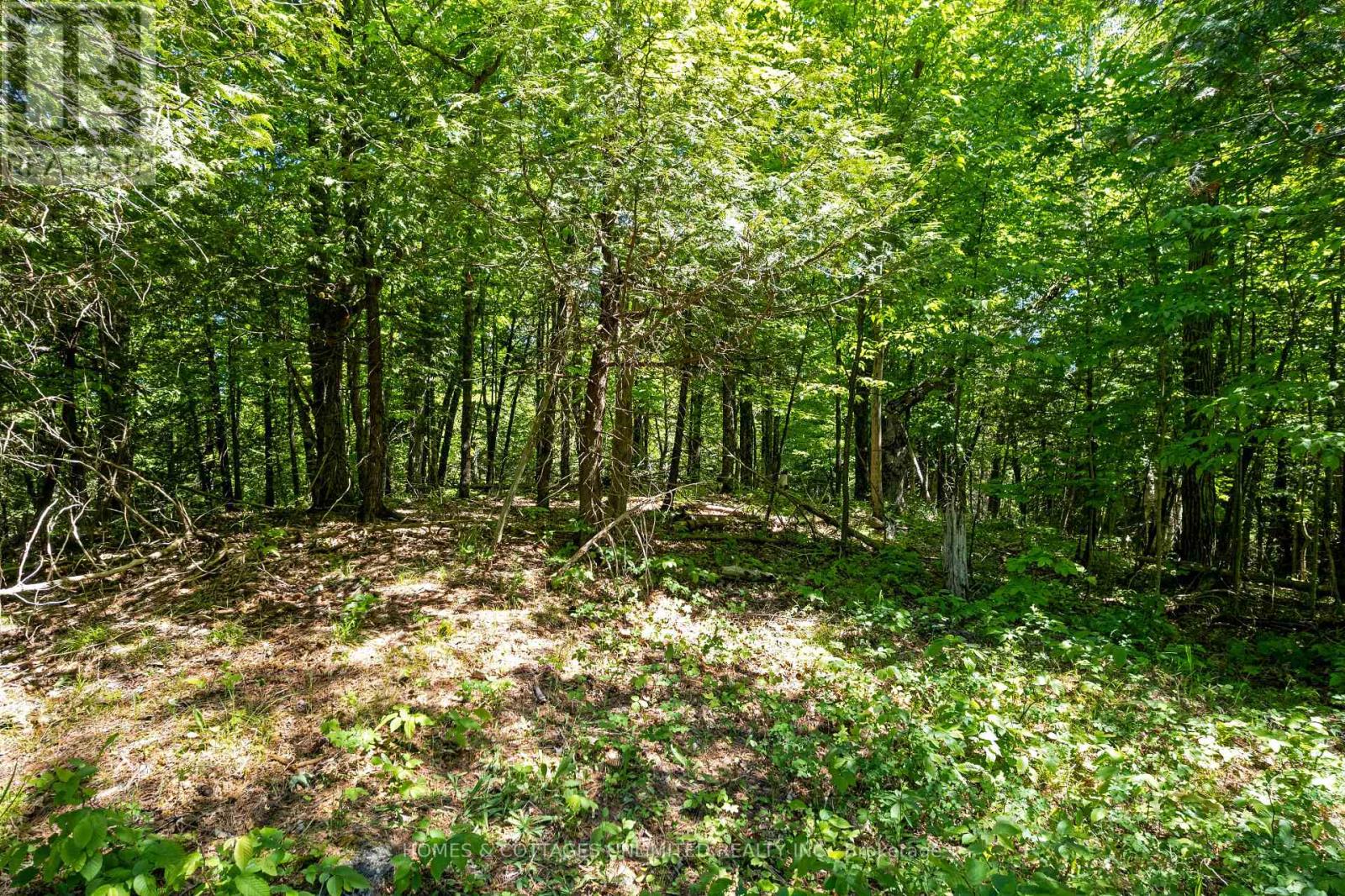 0 Mcdonald's Corners Road, Lanark Highlands, Ontario  K0G 1K0 - Photo 3 - X13429180