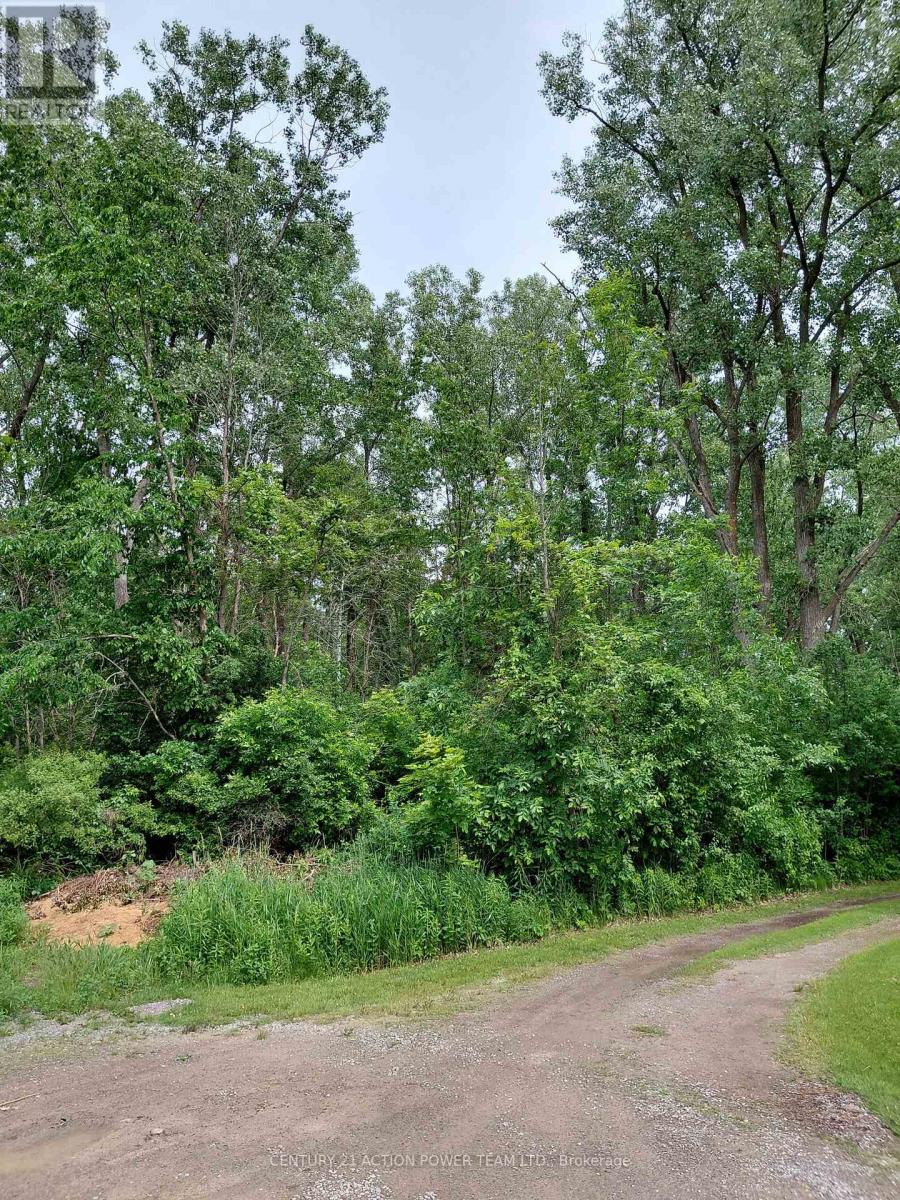 0000 Carrington Lane, Quinte West, Ontario   - Photo 4 - X13434188