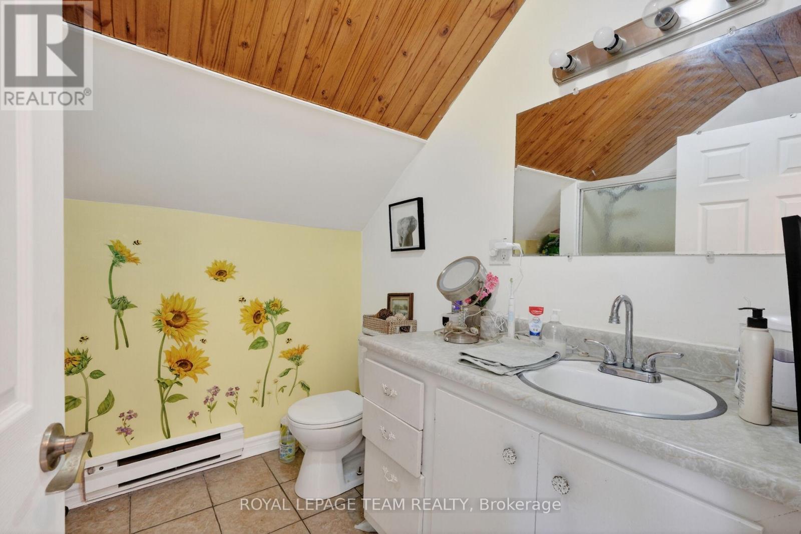 29 Stevenson Avenue, Ottawa, Ontario  K1Z 6M9 - Photo 32 - X13435004