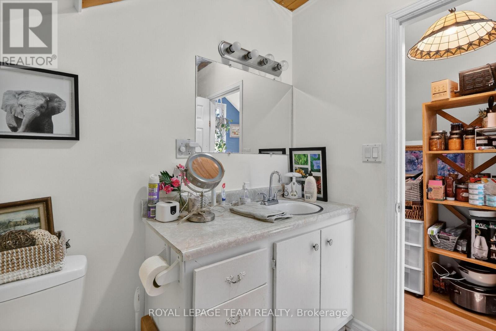 29 Stevenson Avenue, Ottawa, Ontario  K1Z 6M9 - Photo 33 - X13435004