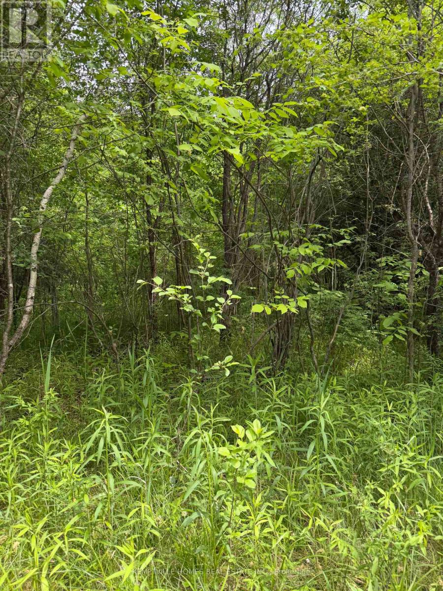 00 Richardson Road, Montague, Ontario  K0G 1N0 - Photo 19 - X13439846