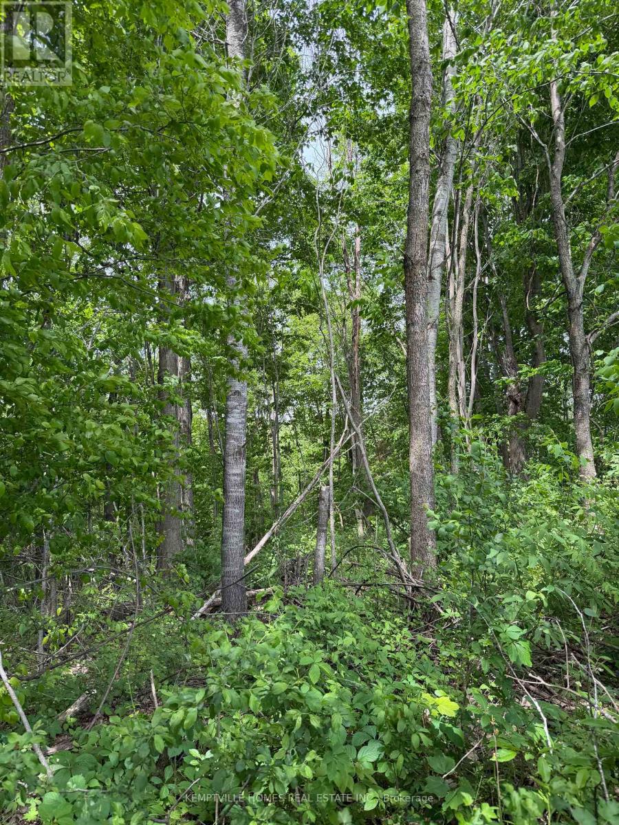 00 Richardson Road, Montague, Ontario  K0G 1N0 - Photo 12 - X13439856
