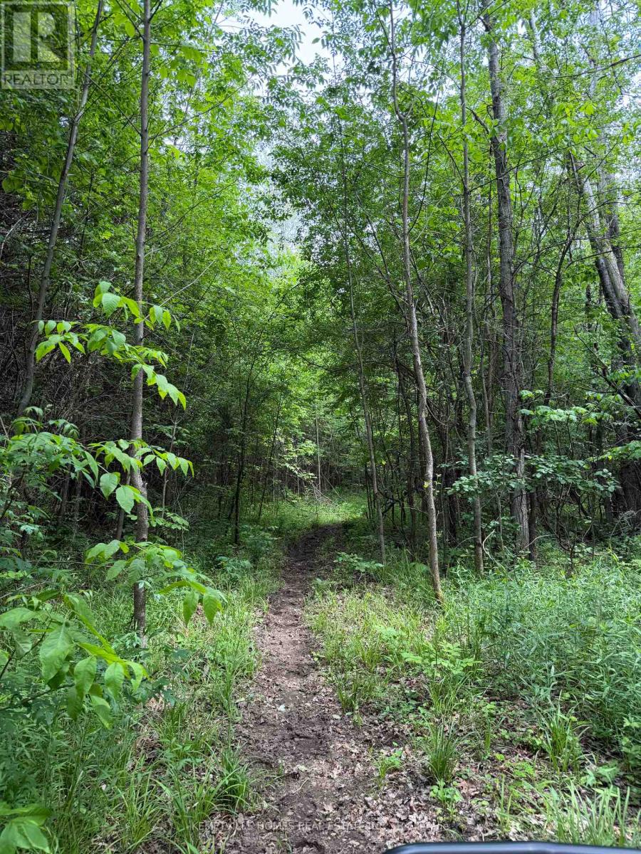 00 Richardson Road, Montague, Ontario  K0G 1N0 - Photo 20 - X13439856