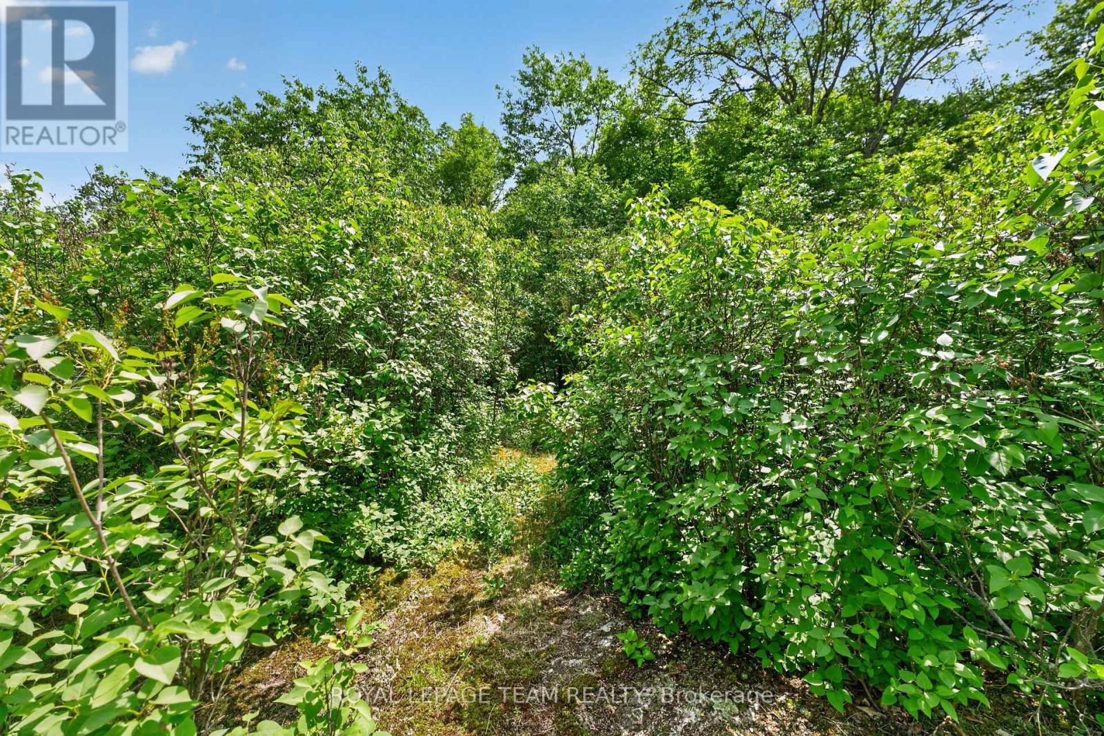 1391 Huntmar Drive, Ottawa, Ontario  K0A 1L0 - Photo 14 - X13447094