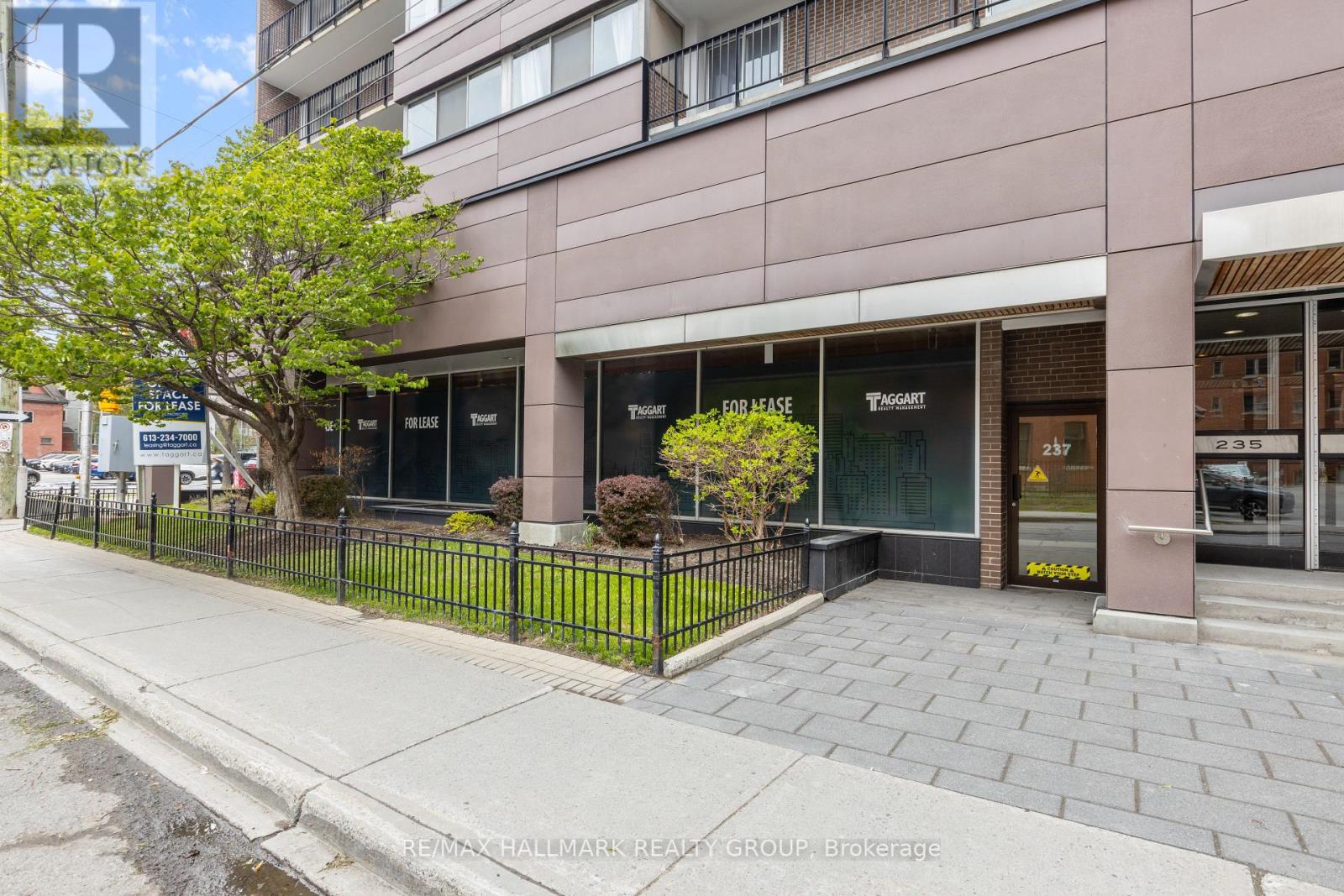 237 Somerset Street W, Ottawa, Ontario  K2P 0J3 - Photo 2 - X13447764