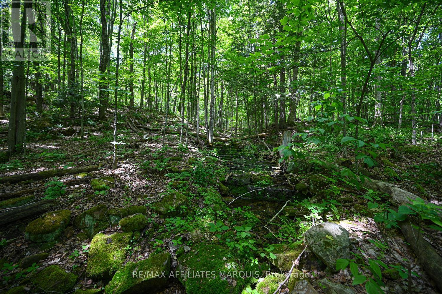 100 Coons Road, Rideau Lakes, Ontario  K0G 1E0 - Photo 22 - X13454356