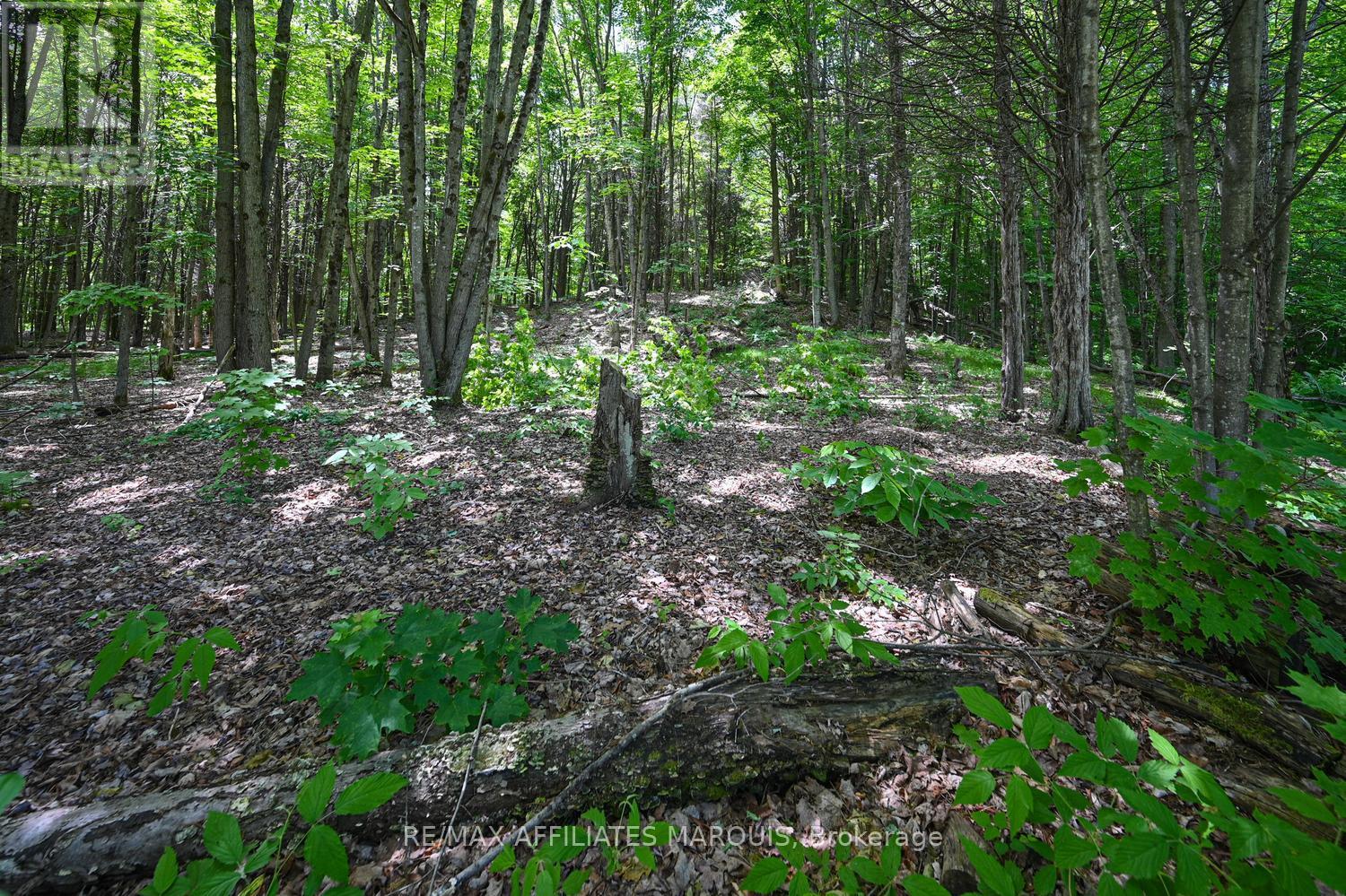100 Coons Road, Rideau Lakes, Ontario  K0G 1E0 - Photo 30 - X13454356