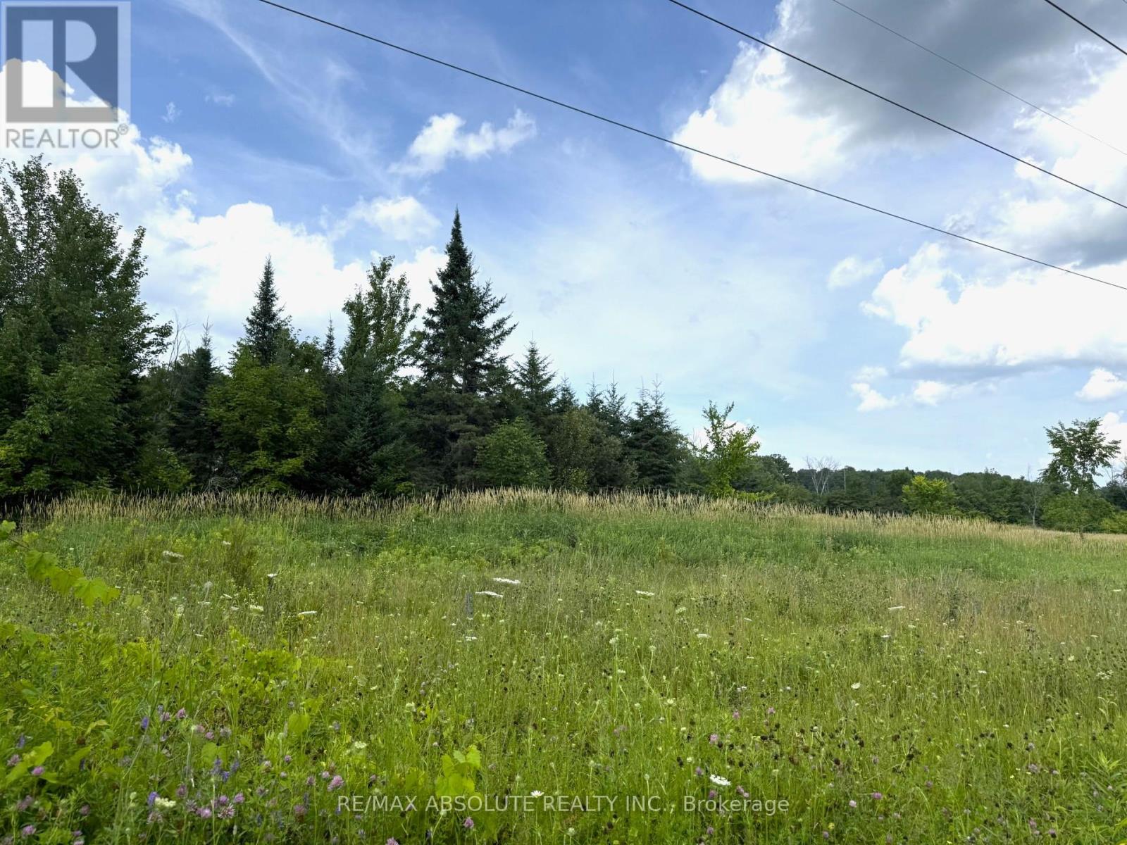 702 Part 13 Flat Rapids Road, Mcnab/braeside, Ontario  K7S 3G8 - Photo 4 - X13454520