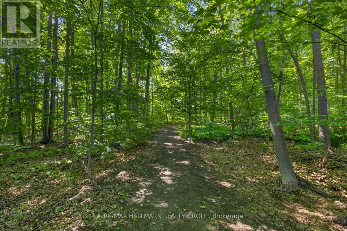 856 Norton Avenue, Ottawa, Ontario  K2B 5P6 - Photo 33 - X13456992