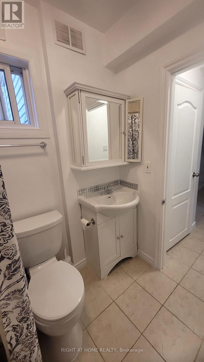 298 Montfort Street, Ottawa, Ontario  K1L 5N6 - Photo 20 - X13464846