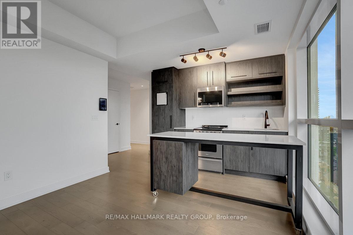 1106 - 560 Rideau Street, Ottawa, Ontario  K1N 5Z8 - Photo 10 - X13464960