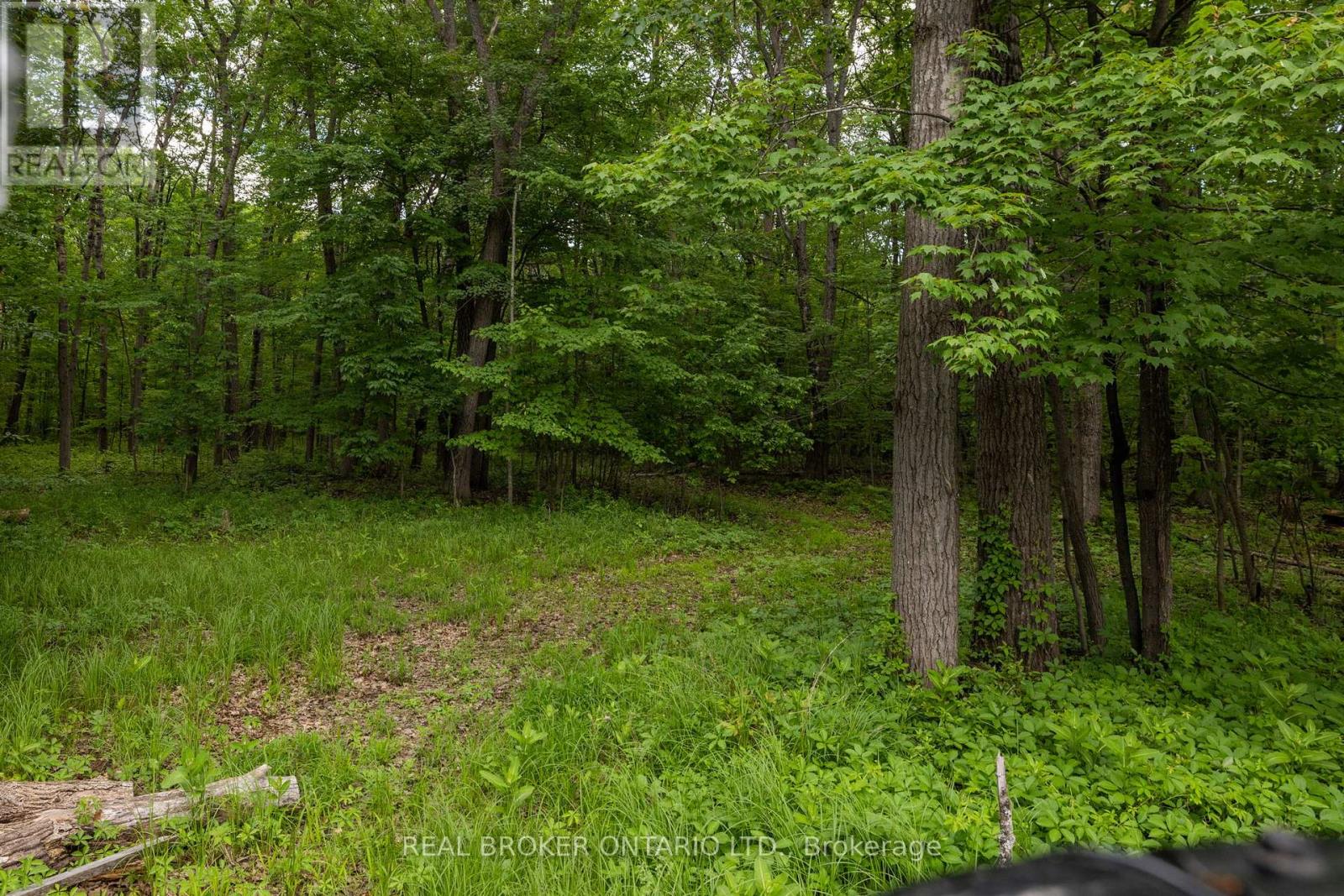 929 Bayview Drive, Ottawa, Ontario  K0A 3M0 - Photo 45 - X13465552