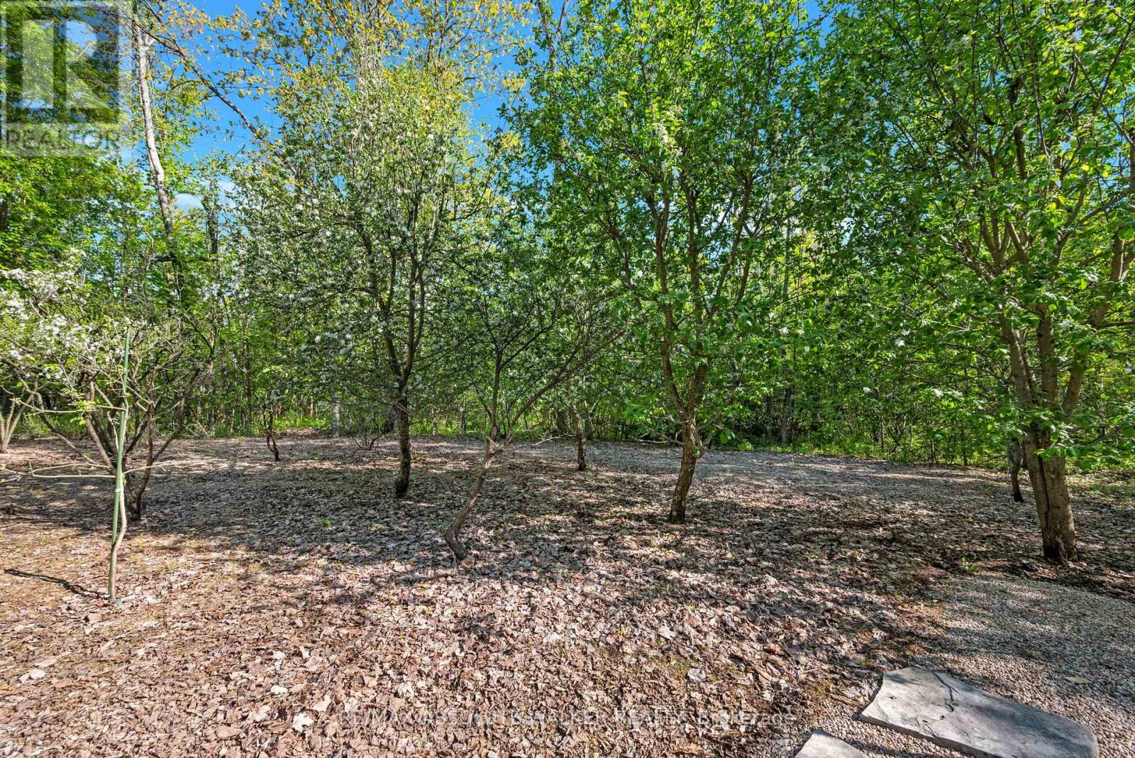 3540 Gordon Murdock Road, Ottawa, Ontario  K0A 2W0 - Photo 43 - X13467748