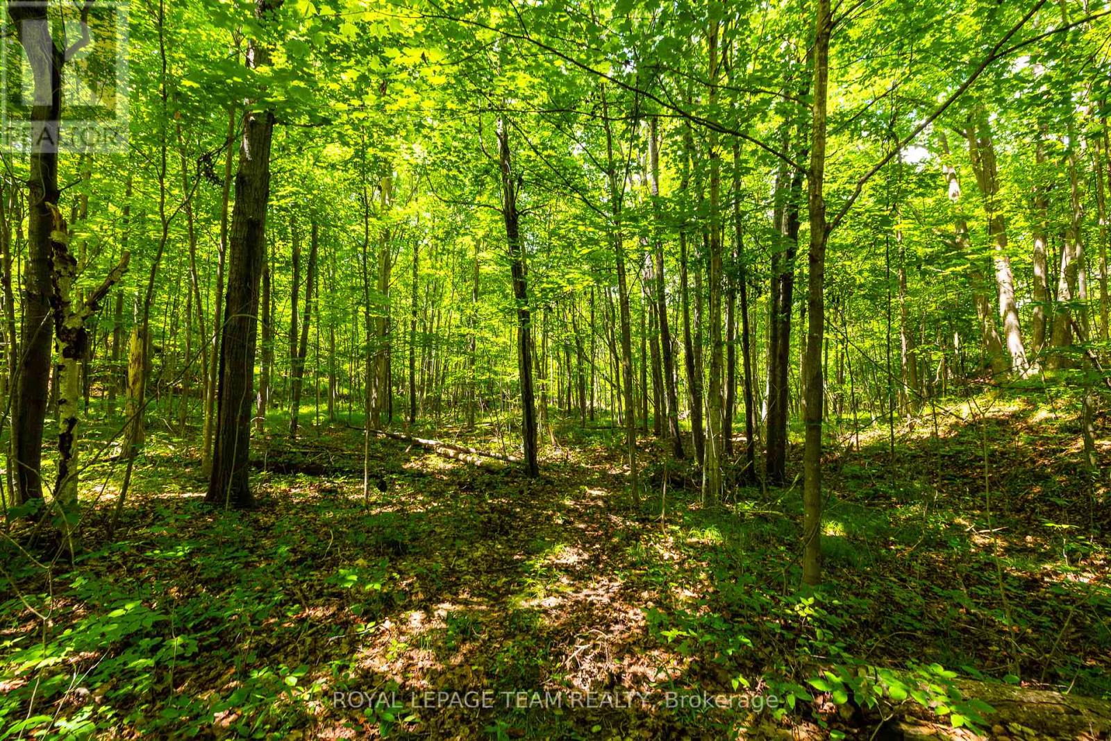 Tbd Scott Lane, Rideau Lakes, Ontario  K0G 1V0 - Photo 11 - X13468566