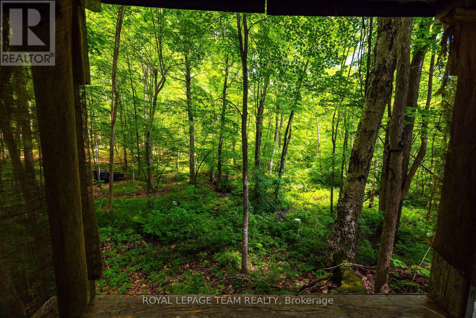 Tbd Scott Lane, Rideau Lakes, Ontario  K0G 1V0 - Photo 13 - X13468566