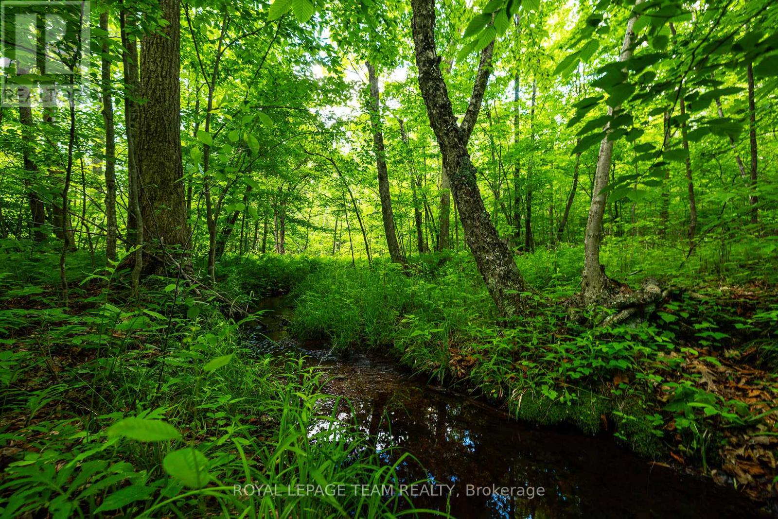 Tbd Scott Lane, Rideau Lakes, Ontario  K0G 1V0 - Photo 14 - X13468566