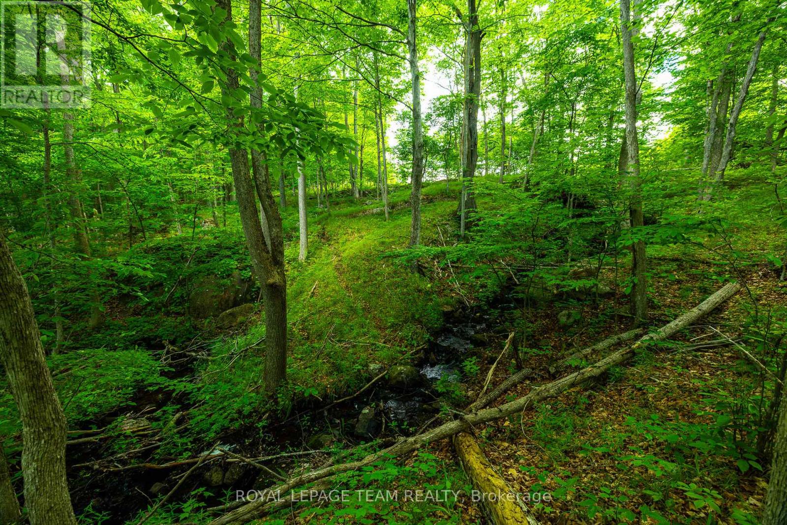 Tbd Scott Lane, Rideau Lakes, Ontario  K0G 1V0 - Photo 15 - X13468566