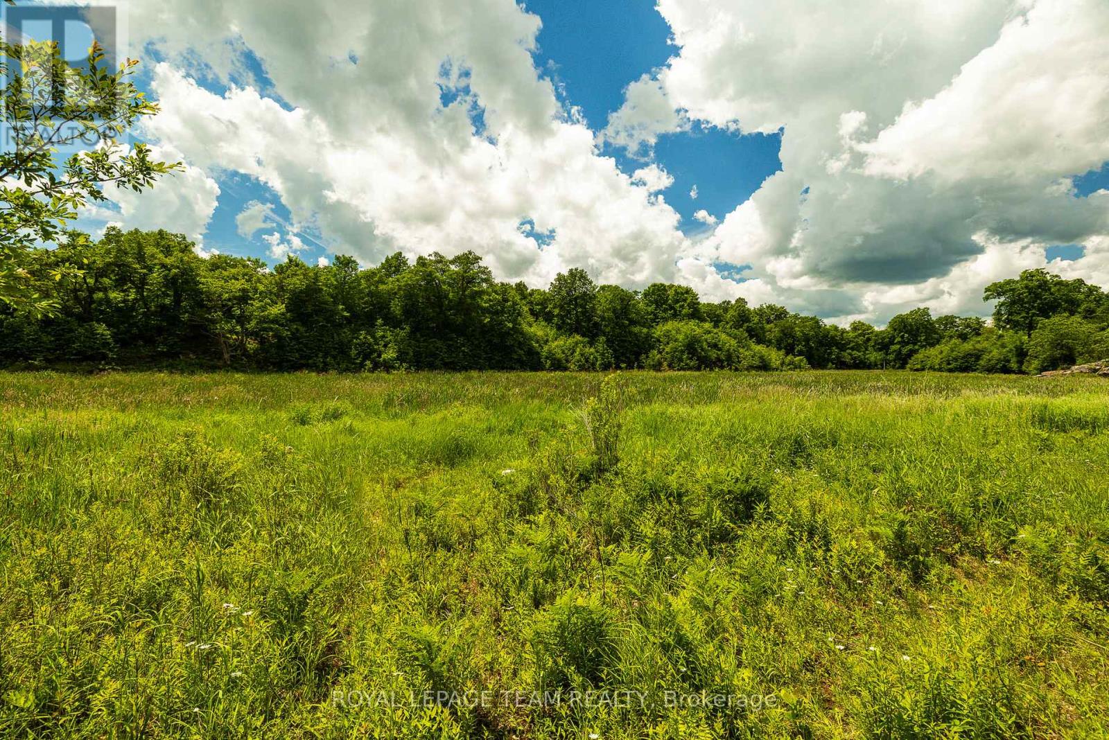 Tbd Scott Lane, Rideau Lakes, Ontario  K0G 1V0 - Photo 16 - X13468566