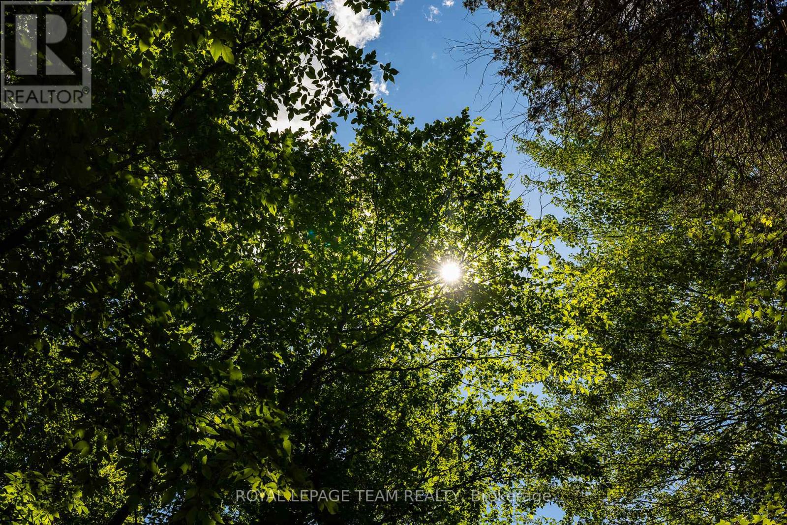 Tbd Scott Lane, Rideau Lakes, Ontario  K0G 1V0 - Photo 17 - X13468566