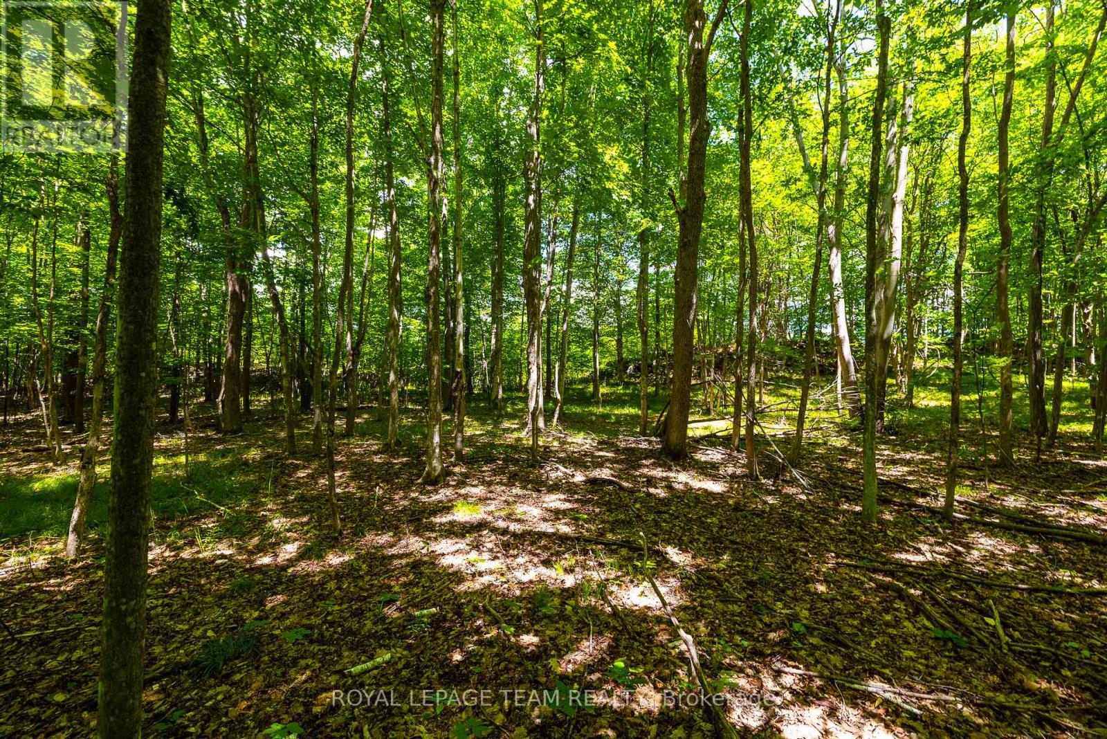 Tbd Scott Lane, Rideau Lakes, Ontario  K0G 1V0 - Photo 18 - X13468566
