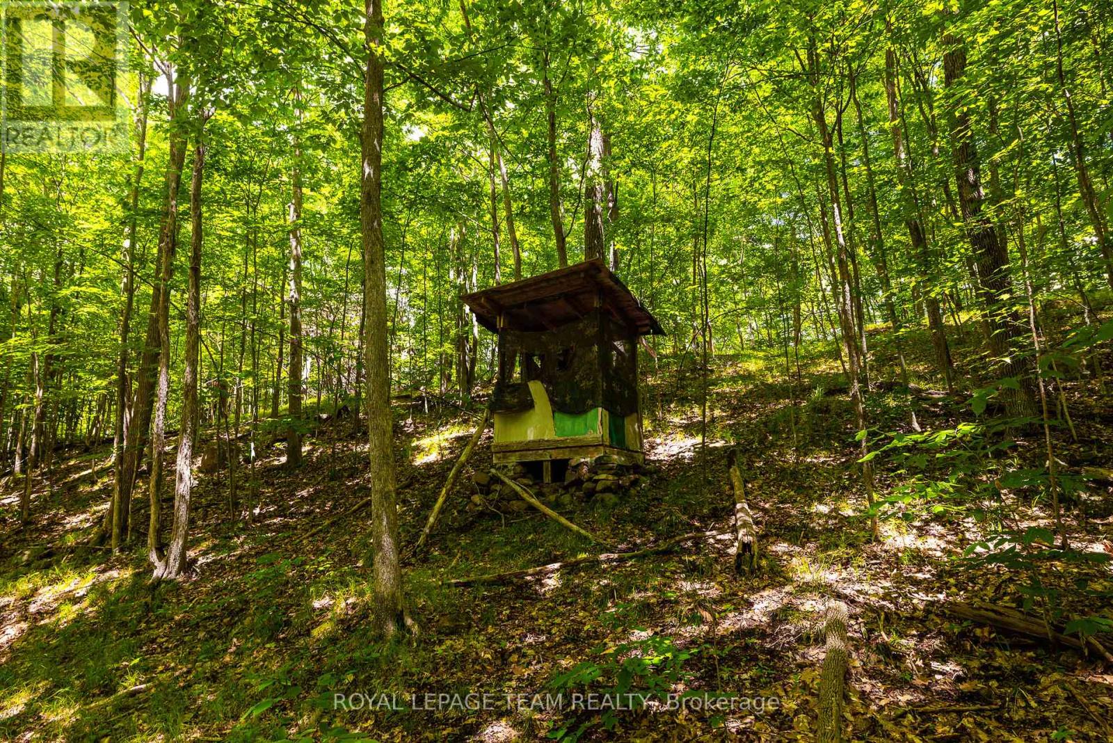 Tbd Scott Lane, Rideau Lakes, Ontario  K0G 1V0 - Photo 19 - X13468566