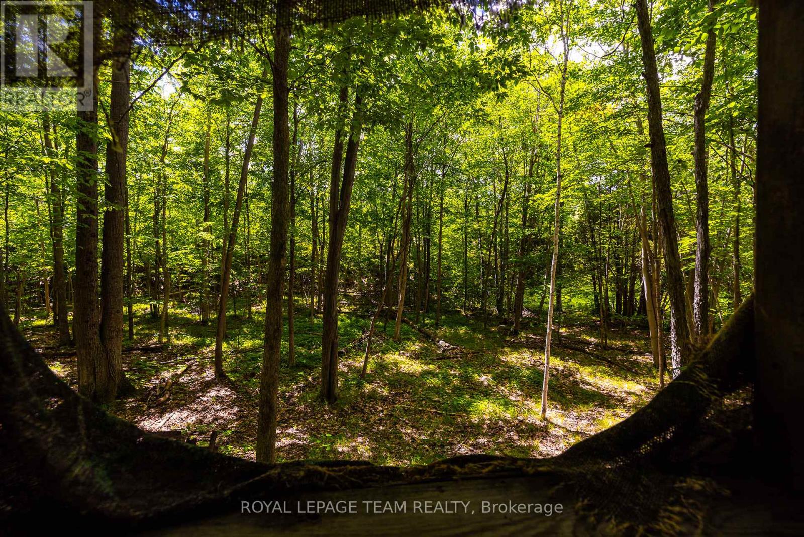 Tbd Scott Lane, Rideau Lakes, Ontario  K0G 1V0 - Photo 20 - X13468566
