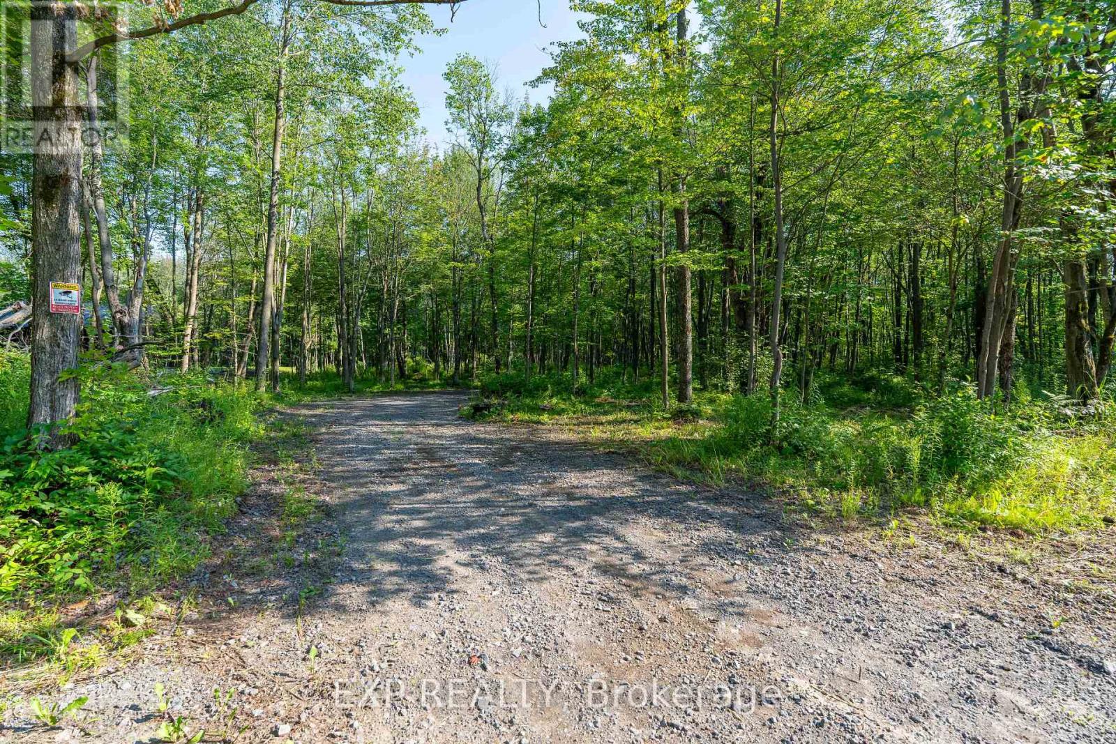 Lot 20 Concession 4 Road, Alfred And Plantagenet, Ontario  K0B 1L0 - Photo 1 - X13474452